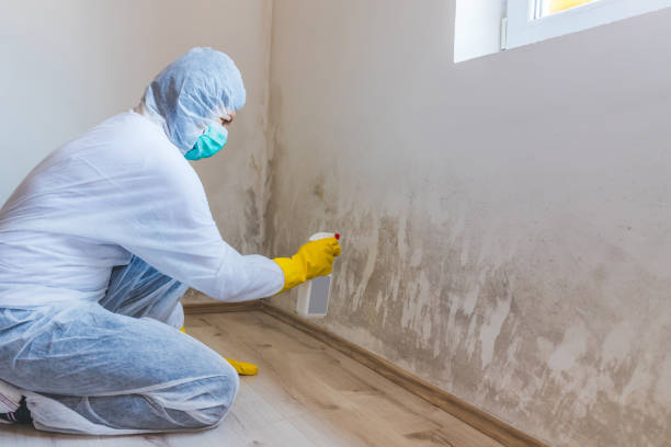 Best Mold Damage Restoration  in Crosspointe, VA