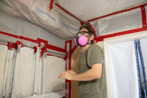 Best Mold Damage Restoration  in Crosspointe, VA