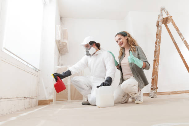 Best Environmental Consulting for Mold Prevention  in Crosspointe, VA