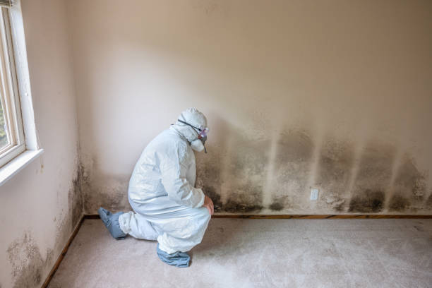 Best Mold Prevention Services  in Crosspointe, VA